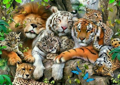 Trigger the free spins mode and play 5 free spins with mystery symbols transforming into character symbols to win up to 50x the stake. All kitties are snuggling ! | Big cats | Pinterest