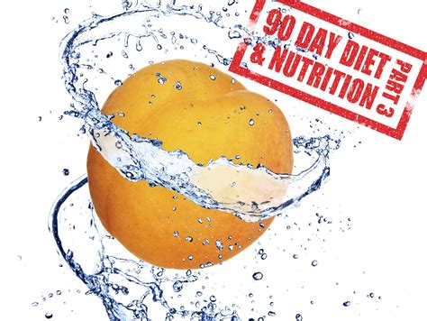 90 Day Nutrition Plan To A Leaner You Part 3 Days 61 90 Living