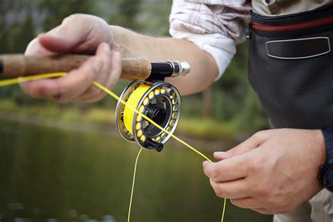 Best 7 Weight Fly Line In 2022 Into Fly Fishing
