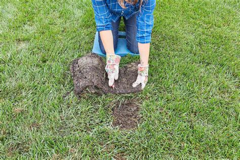 5 Key Steps To Laying Sod Better Homes And Gardens