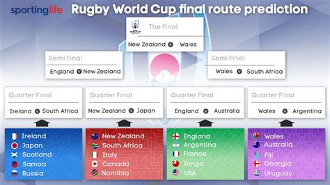 world cup rugby 2024 odds camel corilla