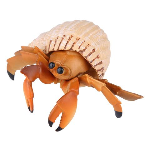 Buy Hermit Crab Toy Safe Educational Simulation Marine Biological