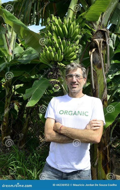 Organic Farmer In Front Of Banana Plantation Stock Image Image Of