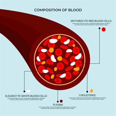 Premium Vector Blood Infographic In Flat Design
