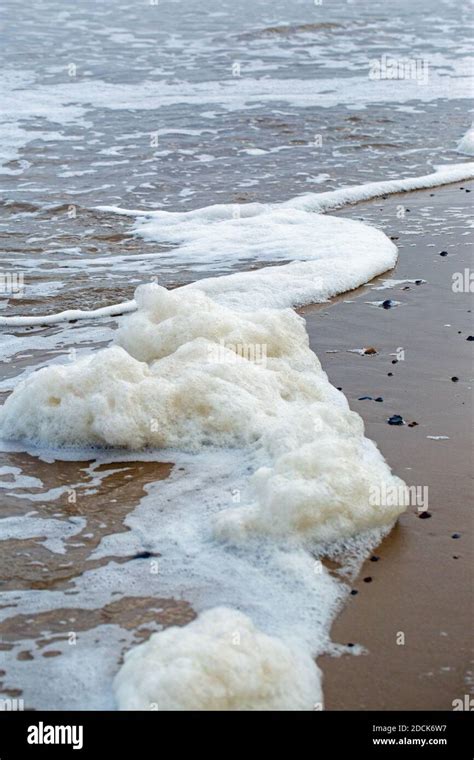 Froth Seafoam Churned Up By The Surf On The Foreshore Incoming Tide