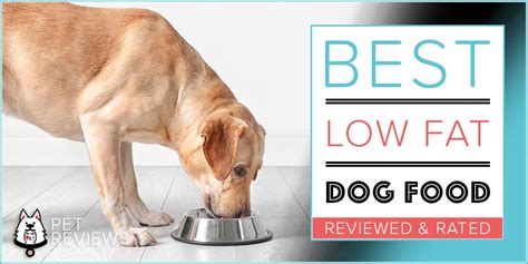 You should also avoid foods listing poor quality carbs like brewer's rice, wheat gluten, corn gluten and soy meal. 10 Best Commercial Low Fat Dog Foods (Canned & Dry) for ...