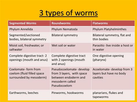 Flatworms Roundworms And Segmented Worms Ppt Download