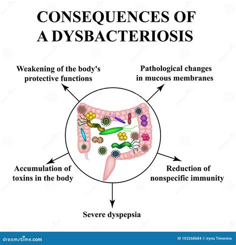 Consecuencias Del Dysbiosis Intestinal Dysbacteriosis De Los Dos Puntos