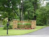 Quality Creative Landscaping Pictures