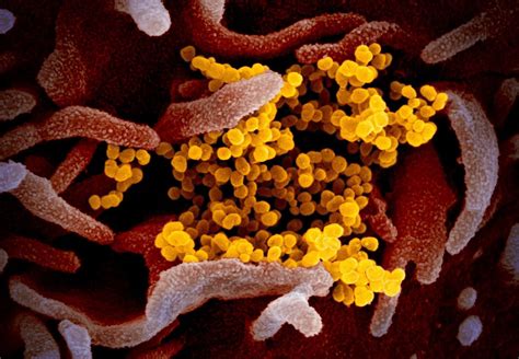 The Science Of Why Coronavirus Is So Hard To Stop The Washington Post