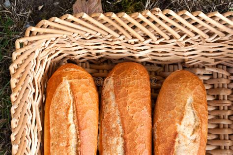 Loaves Of French Bread Stock Image Image Of France Rolls 33821137
