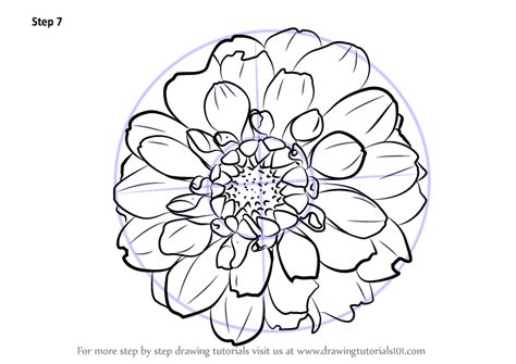 How do draw flowers step by step? Learn How to Draw Dahlia Flower (Other Flowers) Step by ...