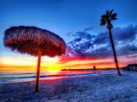 Beach Tropics Sea Sand Palm Trees Sunset Beautiful Wallpaper