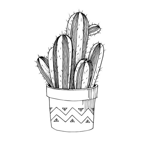 Vector Cacti Floral Botanical Flowers Black And White Engraved Ink Art