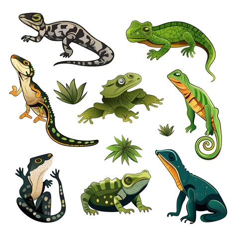 Premium Vector Illustration Of Amphibians Character Icon Set In Flat