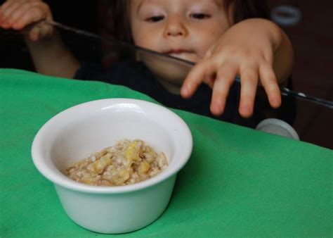 Cookies com apenas dois ingredientes! Aveia + banana ...