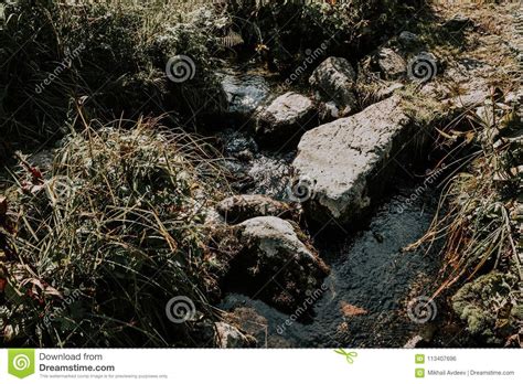 Mountain Stream A Spring In The Rocks Stock Photo Image Of Mountains