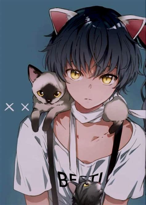 Anime Cat Boy Boy Cat Anime Neko Kawaii Anime Anime Boys Dark