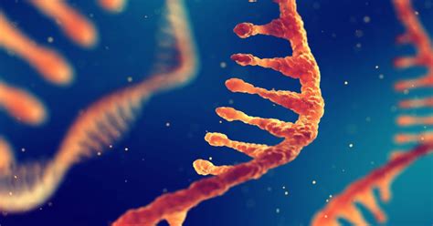 RNA Covid-19 vaccines will not change your DNA - Full Fact