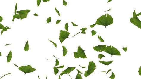 Download Falling Green Leaves Free Png Image Green Leaves Png Png