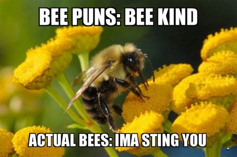 125 bee puns that will make you spread buzzing cheer livin3