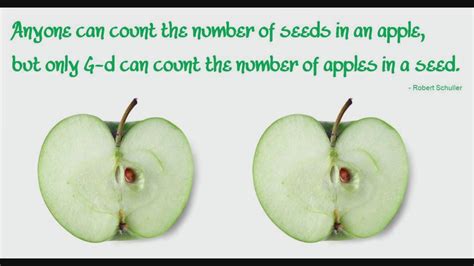 Anyone Can Count The Number Of Seeds In An Apple But Only God Can Count