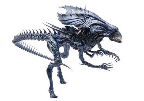Item 2 avp alien vs. Hiya AvP Alien Queen - Toy Discussion at Toyark.com
