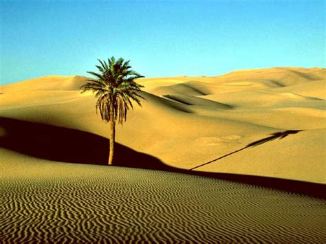 The sahara's other and absolutely vital natural resource is water. Dust from Sahara Makes Significant Impact on Caribbean Sea ...