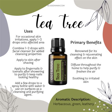 Tea Tree Essential Oil Benefits Uses Sourcing With Doterra Co