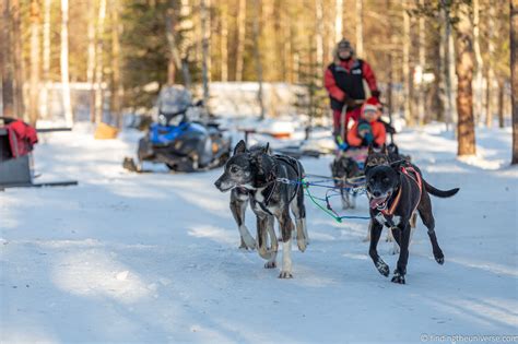 The Ultimate 7 Day Finnish Lapland Itinerary For Winter Map And Tips