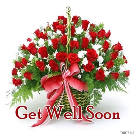 Get Well Soon Wishes Messages Images For Facebook Whatsapp Picture