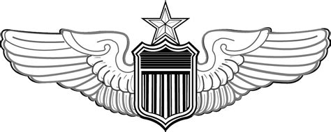 Air Force Pilot Wings Png