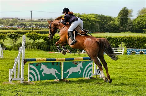 Free Images Hunt Seat English Riding Human Action Show Jumping