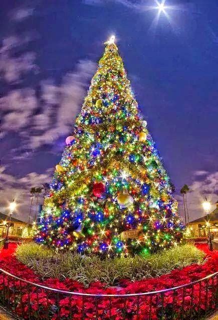 Most Beautiful Christmas Tree My World