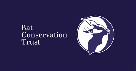 The Bat Conservation Trust Animal Friends