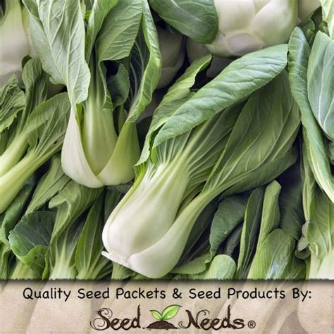 300 Seeds Pak Choi White Stem Cabbage Brassica Oleracea Non Gmo