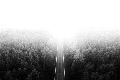 Long Lonely Road Through The Woods Free Stock Photo Picjumbo