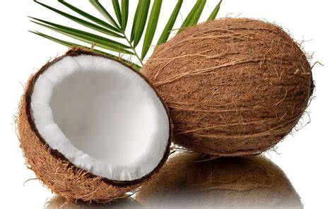 Coconut Fruit Wallpaper 2560x1600 24071