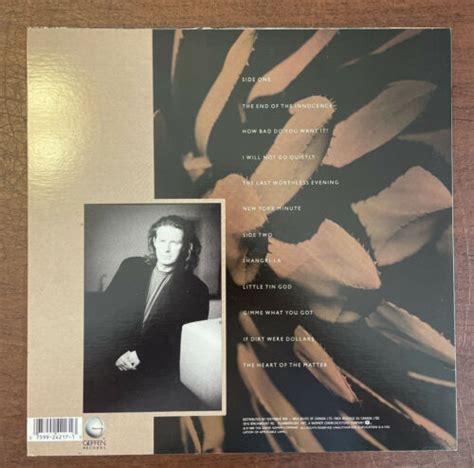 Mavin Don Henley The End Of The Innocence Vinyl Lp Record 1989 Geffen