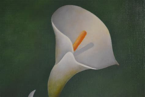 Two Calla Lilies Margo Munday Fine Art Classical And Contemporary