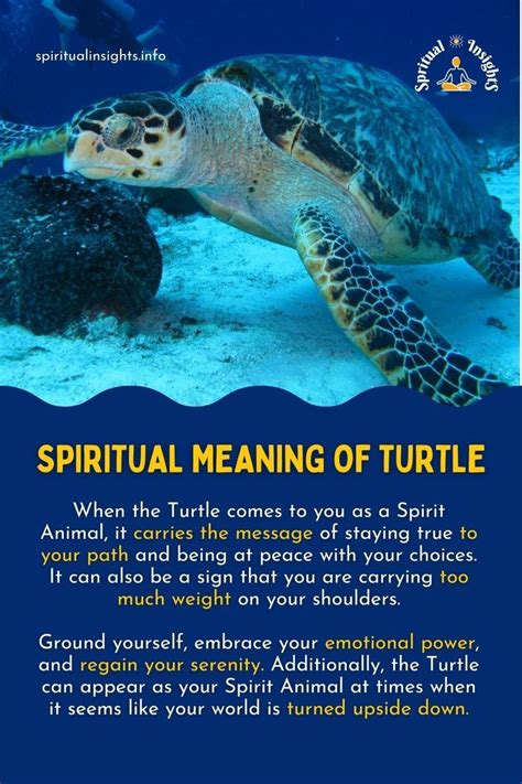 Spiritual Meaning Of The Turtle Spiritual Meaning Animal Spirit
