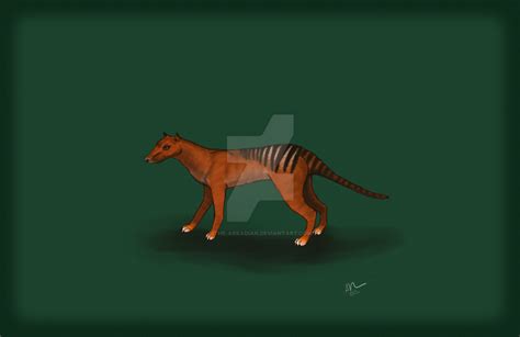 Thylacine By The Arkadian On Deviantart