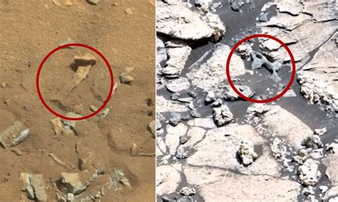 A Strange Set Of Bone Fossils Found On Mars By Nasas Curiosity Rover