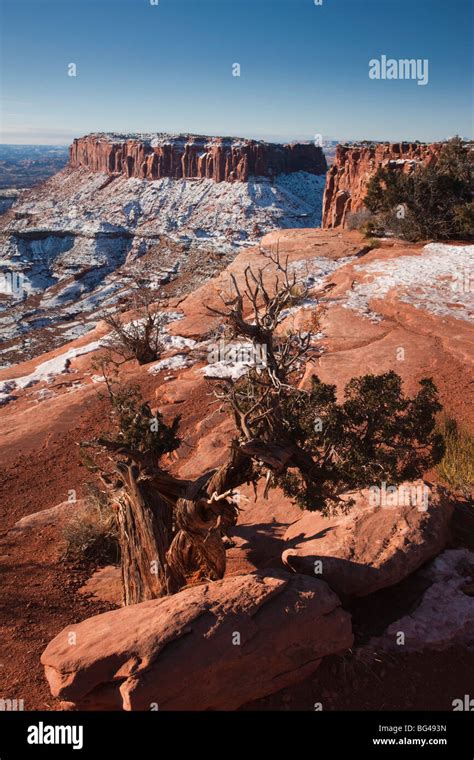 Usa Utah Moab Canyonlands National Park Grand View Overlook Winter