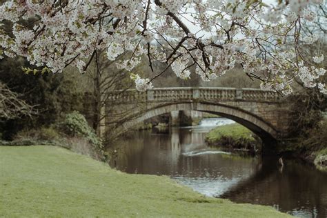 Bridge Over River · Free Stock Photo
