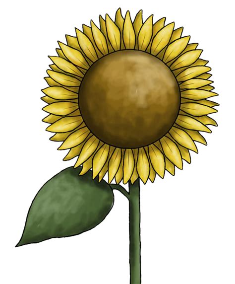 Sunflower Clip Art Free Printable Clipart Clipartix