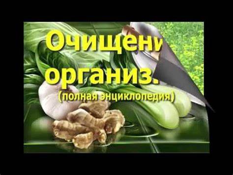 Кандидоз диета и лечение Кандидоз Лечебная Диета при кандидозе Часть 5 - YouTube Кандидоз Лечебная Диета при кандидозе Часть 5 - YouTube Кандидоз диета и лечение