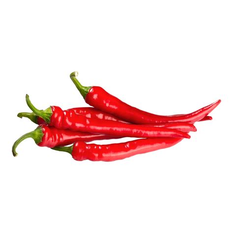 long hot finger pepper supplier
