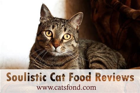 My cat lilo is known for her royal behavior and it can be so difficult finding the best food for her. Top 8 Soulistic Cat Food Reviews (Recalls, Pros and Cons ...