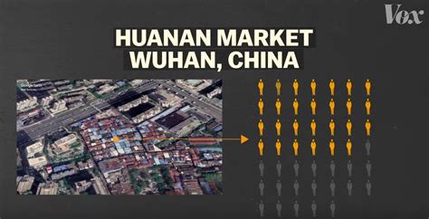 Explained Why Deadly Diseases Keep Appearing In Chinas Wet Markets